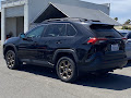 2024 Toyota RAV4 Woodland Edition