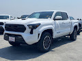 2024 Toyota Tacoma 2WD TRD Sport