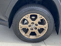 2024 Toyota RAV4 Hybrid Woodland