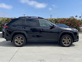 2024 Toyota RAV4 Hybrid Woodland