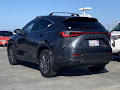 2024 Lexus NX 350h Premium