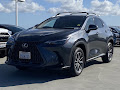 2024 Lexus NX 350h Premium
