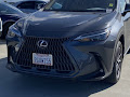 2024 Lexus NX 350h Premium
