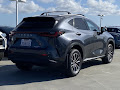 2024 Lexus NX 350h Premium